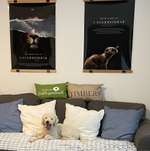 Ersteller:in Steffi Profilbild