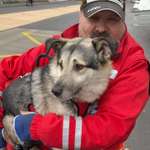 Ersteller:in Peter Alexander Profilbild