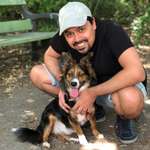 Ersteller:in Shubham Profilbild