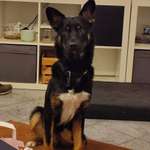 Ersteller:in Lisa Profilbild