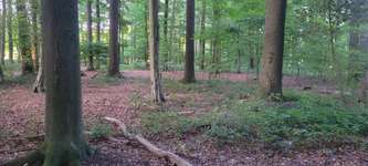 Hundeauslaufgebiet-Coesfelder Berg-Bild