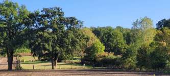 Hundeauslaufgebiet-Coesfelder Berg-Bild