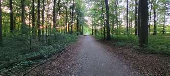 Hundeauslaufgebiet-Coesfelder Berg-Bild