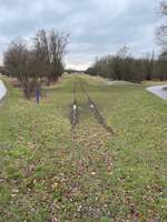 Hundeauslaufgebiet-Heerenkrug Wiese-Bild