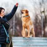 Ersteller:in Sandra Profilbild