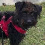 Ersteller:in Susanne Profilbild