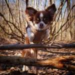 Ersteller:in Him Profilbild