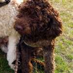 Ersteller:in Sarah Profilbild