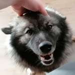 Ersteller:in I. Profilbild