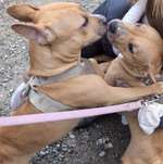 Ersteller:in Vika Profilbild