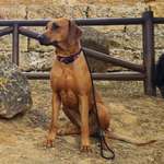 Ersteller:in Michaela Profilbild