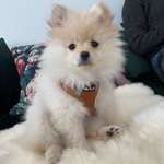 Ersteller:in Patricia Profilbild