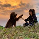 Ersteller:in Magali Profilbild