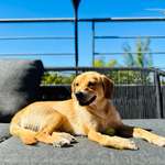 Ersteller:in Jul Profilbild