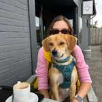 Ersteller:in Jul Profilbild