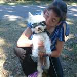 Ersteller:in Heike Profilbild