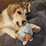 Ersteller:in Anke Profilbild