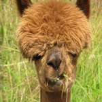 Ersteller:in Jens Profilbild