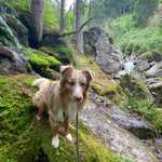 Ersteller:in Elke Profilbild