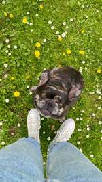 Ohrenentzündung-Beitrag-Bild