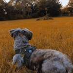 Ersteller:in Julia Profilbild