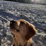 Ersteller:in Elias Profilbild