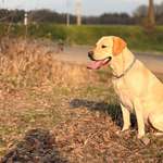 Ersteller:in Irina Profilbild