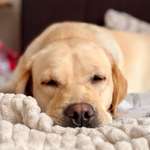 Ersteller:in Irina Profilbild