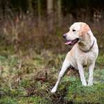 Ersteller:in Irina Profilbild