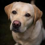 Ersteller:in Irina Profilbild