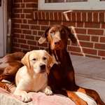 Ersteller:in Irina Profilbild