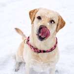 Ersteller:in Irina Profilbild