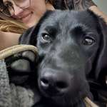 Ersteller:in Stephanie Profilbild