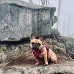 Ersteller:in Lisa-Maria Profilbild