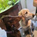 Ersteller:in Kerstin Profilbild