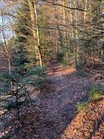 Hundeauslaufgebiet-Hofstätter See-Bild