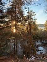 Hundeauslaufgebiet-Hofstätter See-Bild
