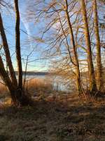 Hundeauslaufgebiet-Hofstätter See-Bild