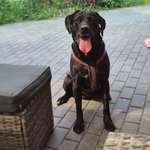 Ersteller:in Ela Profilbild