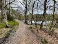 Hundeauslaufgebiet-Drakamp-Bild