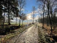 Hundeauslaufgebiet-Ekerner Moor-Bild