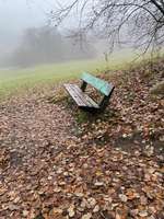 Hundeauslaufgebiet-Waldpark Marienhöhe Nord-Bild