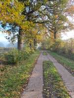 Hundeauslaufgebiet-Appen/Holm Rastplatz Rundgang-Bild