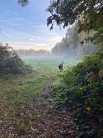 Hundeauslaufgebiet-Appen/Holm Rastplatz Rundgang-Bild