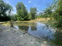 Hundeauslaufgebiet-Auwiesen-Bild