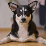 Ersteller:in Christin Profilbild