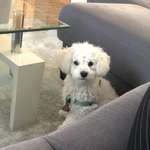 Ersteller:in Melisa Profilbild