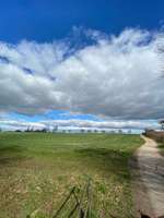 Hundeauslaufgebiet-Priesterbachrunde-Bild