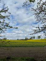 Hundeauslaufgebiet-Priesterbachrunde-Bild