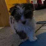 Ersteller:in grschw58 Profilbild